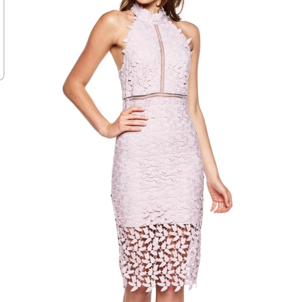 Bardot gemma halter lace sheath dress